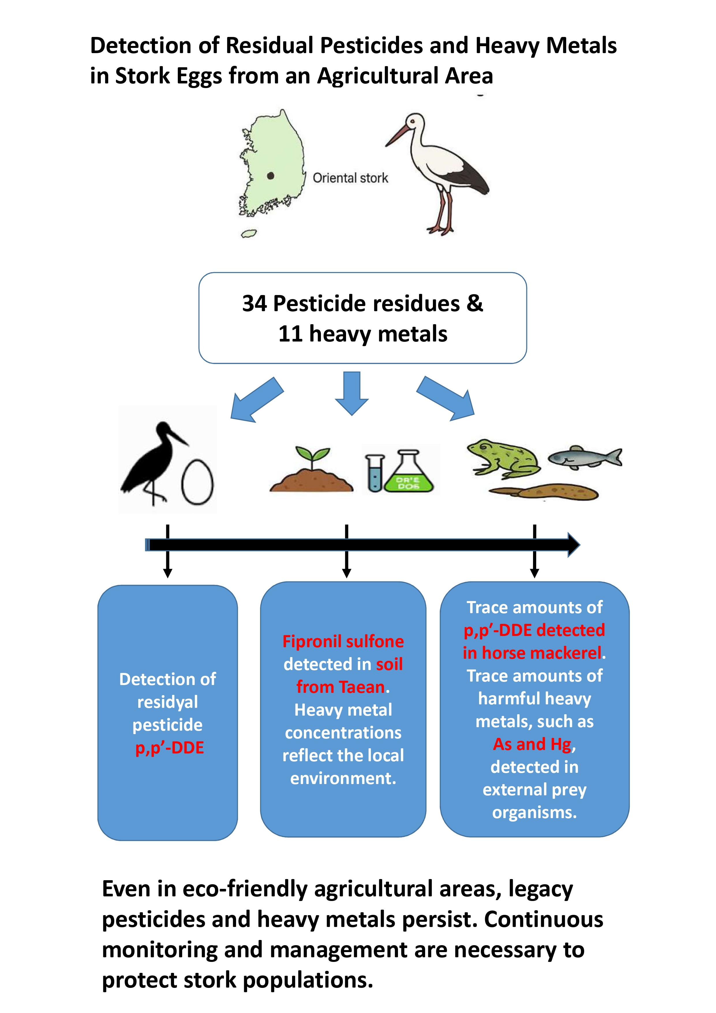 AST-2025-057_R1_P_Graphical Abstract_001_page-0001.jpg